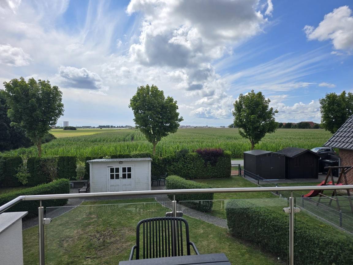 foto17