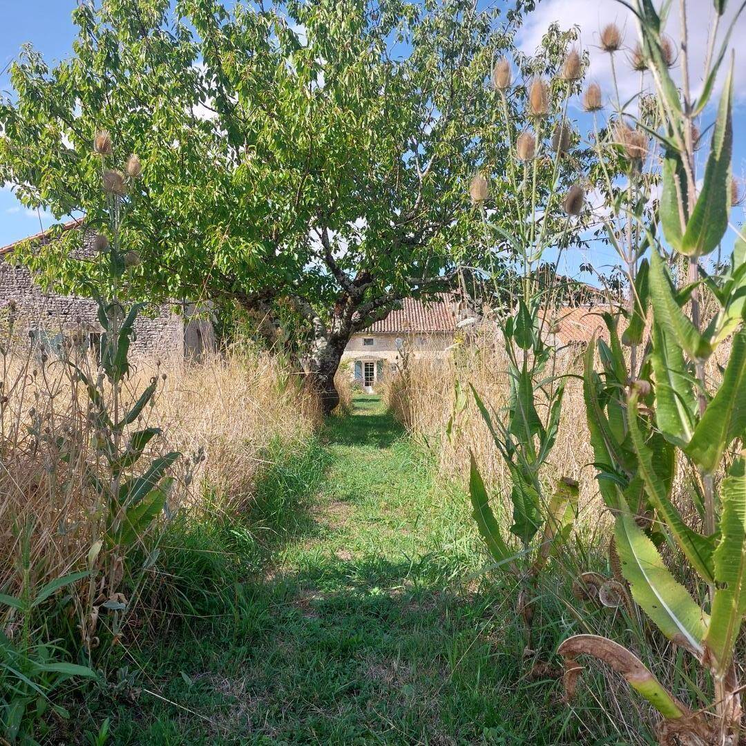 foto9
