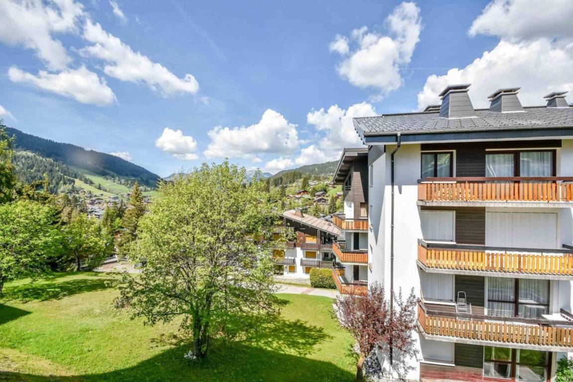 foto2