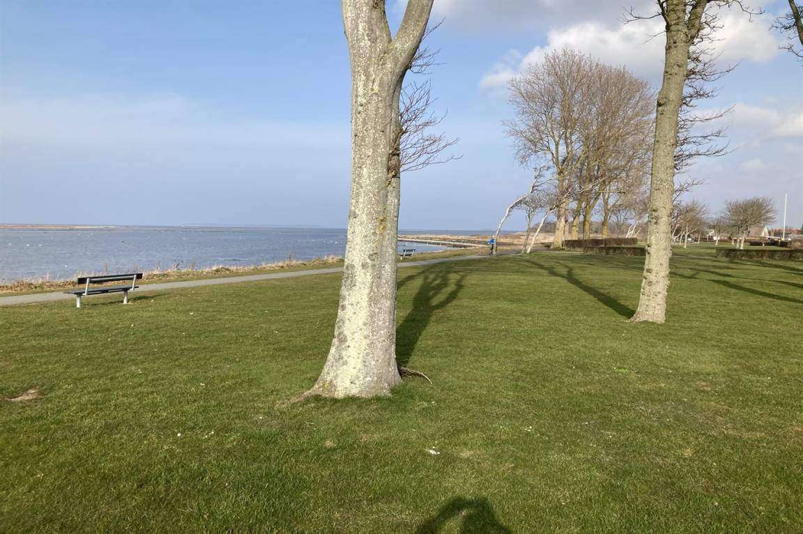 foto15