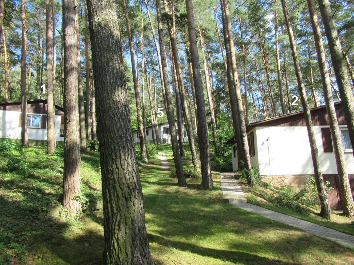foto7