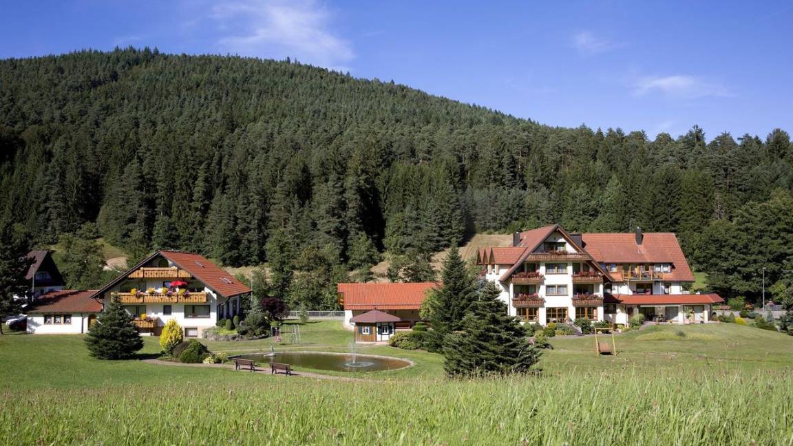 55 M² Apartment ∙ 1 Bedroom ∙ 2 Guests - Baiersbronn