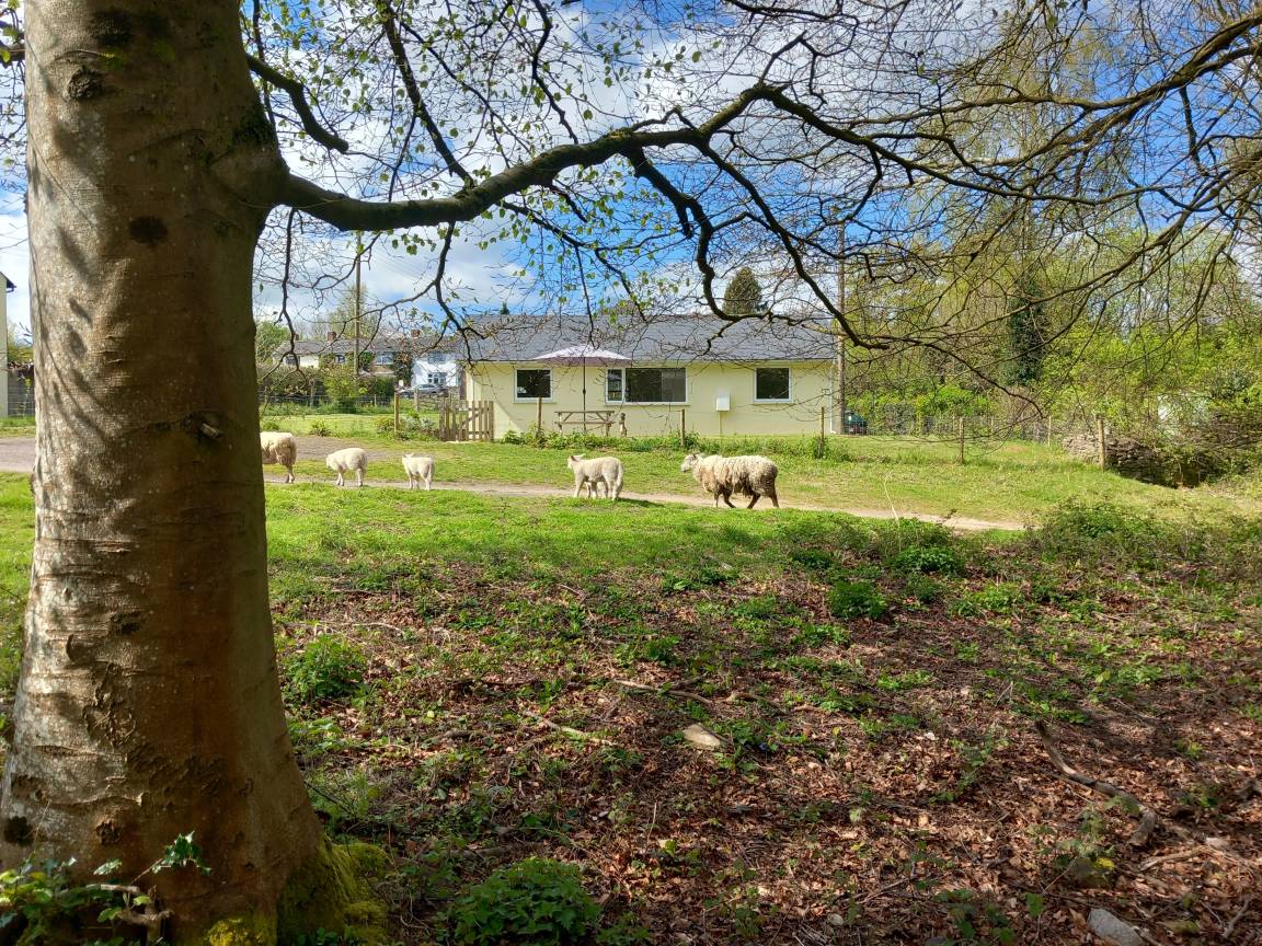 110 M² House ∙ 2 Bedrooms ∙ 5 Guests - Symonds Yat