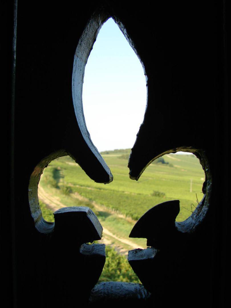foto7