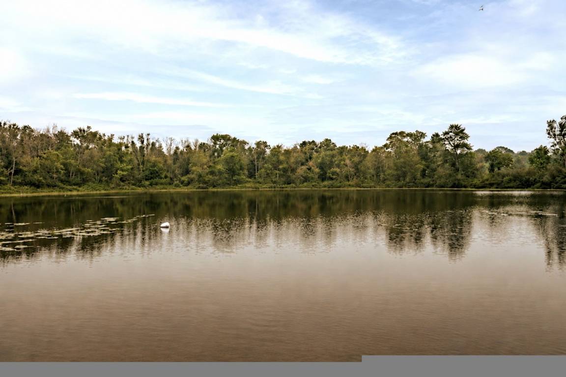 Apartment ∙ 3 Bedrooms ∙ 9 Guests - Kawartha Lakes