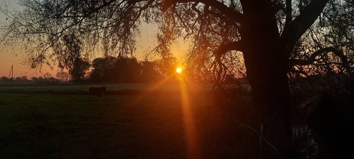foto19
