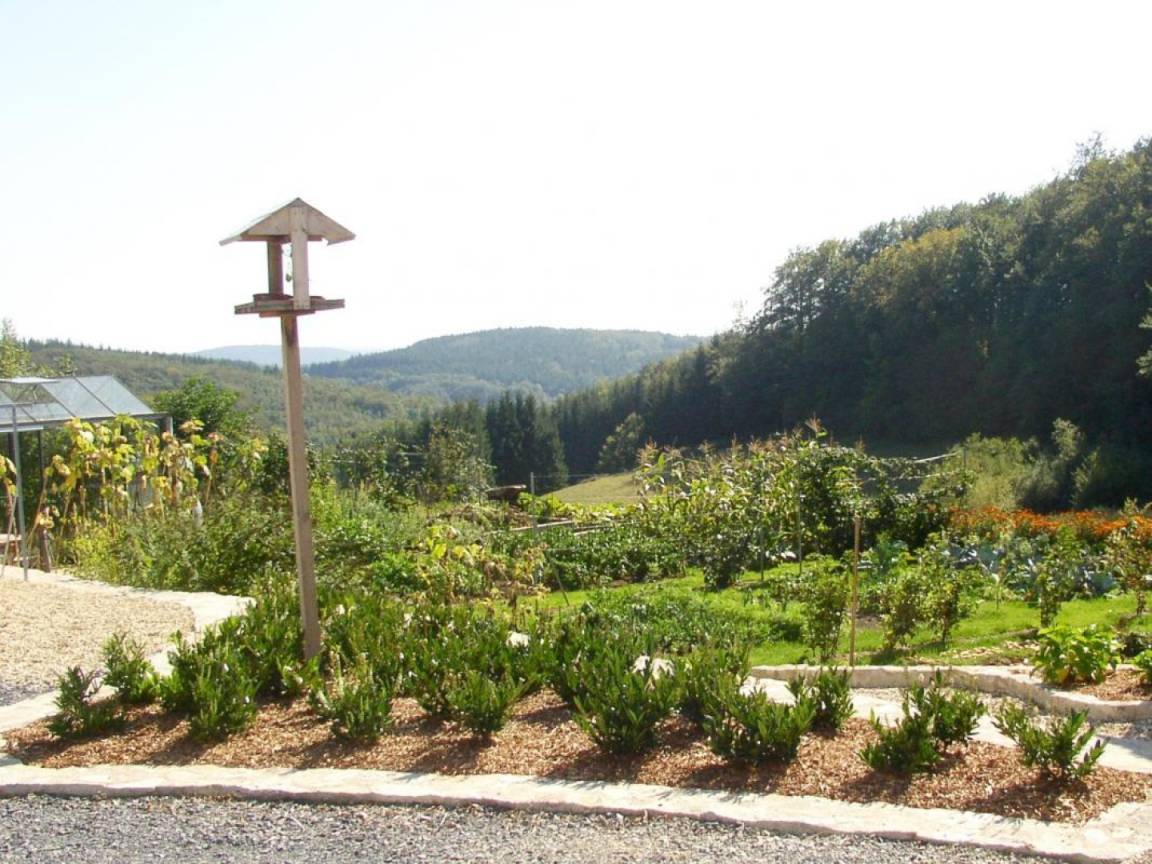 foto10