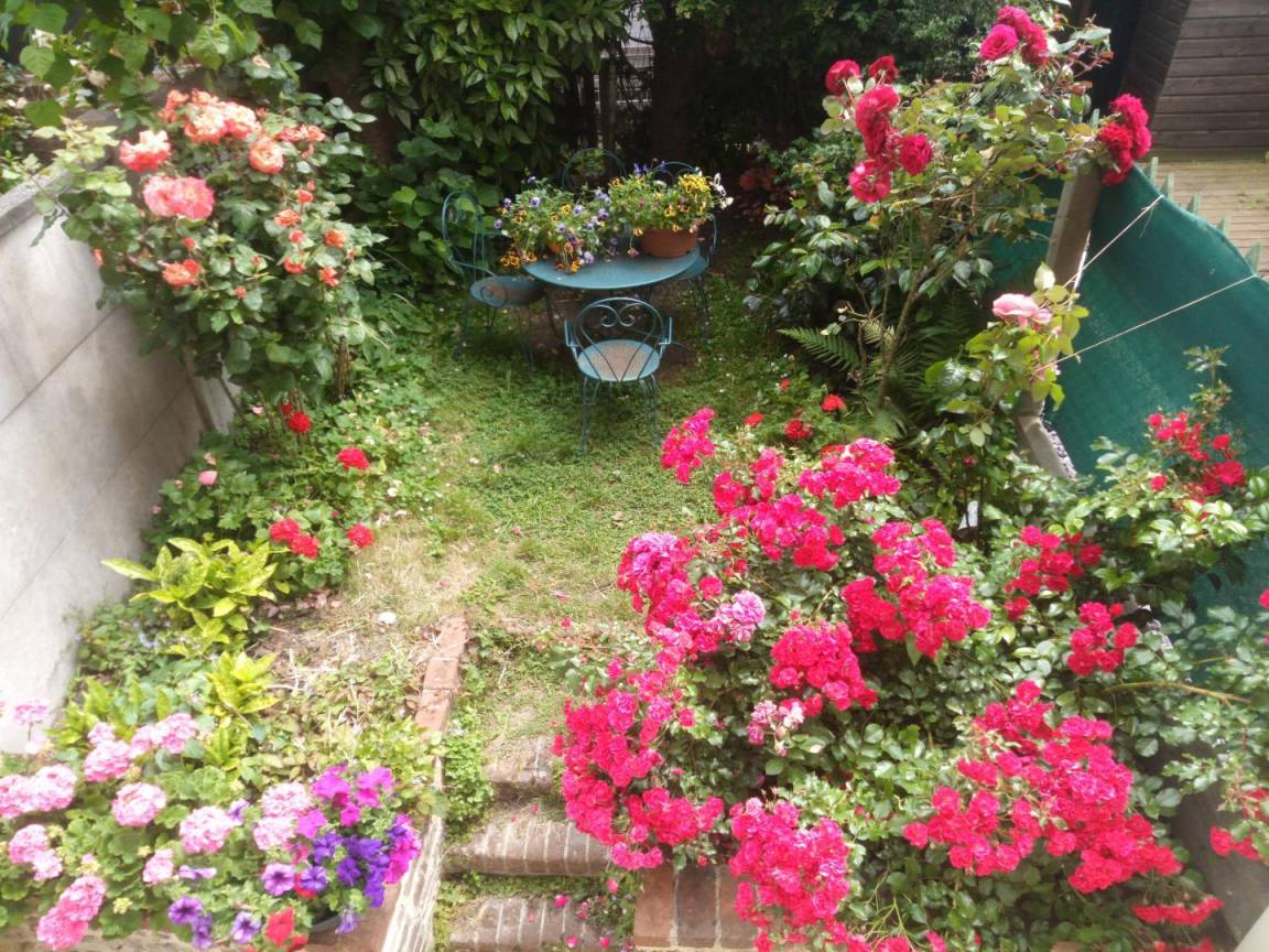foto31