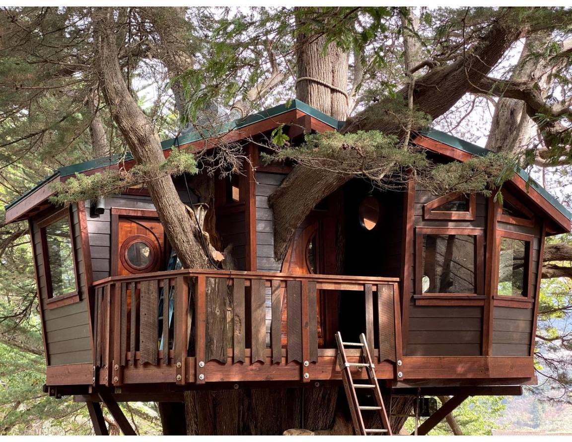 Camping ∙ 1 Chambre ∙ 5 Personnes - Half Moon Bay, CA
