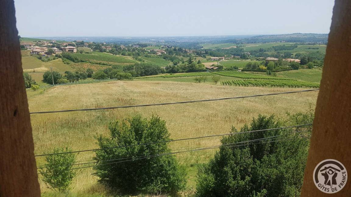 foto31