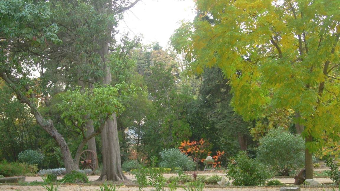 foto18