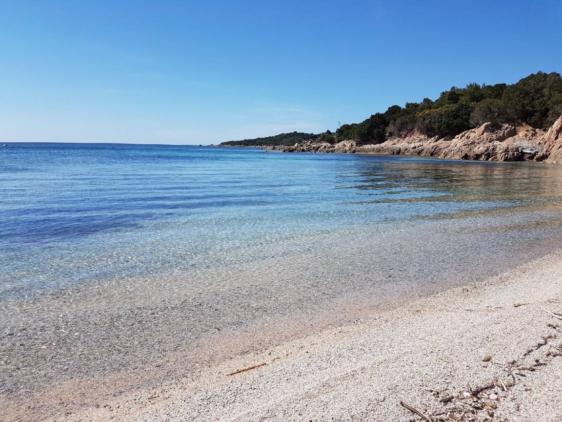 foto1