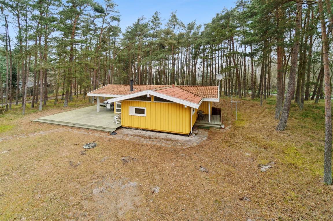 foto3