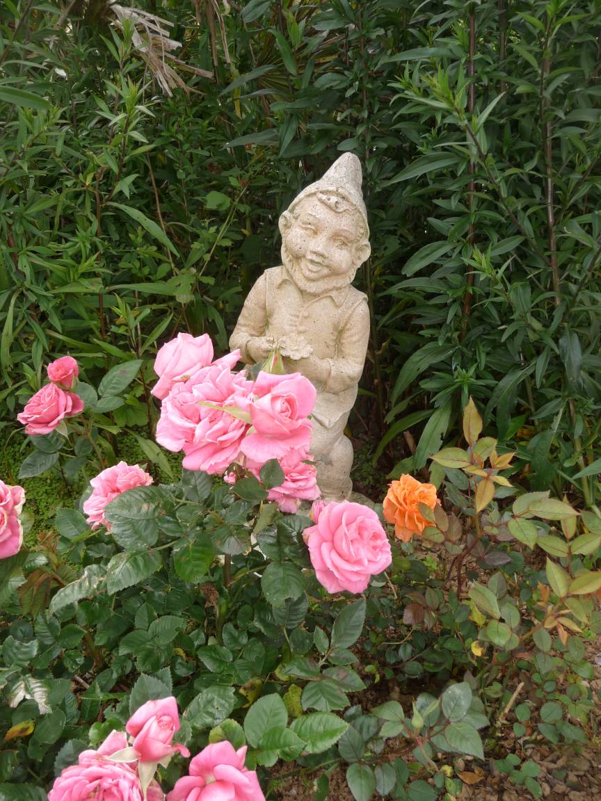foto27