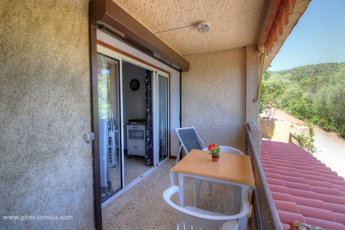foto6