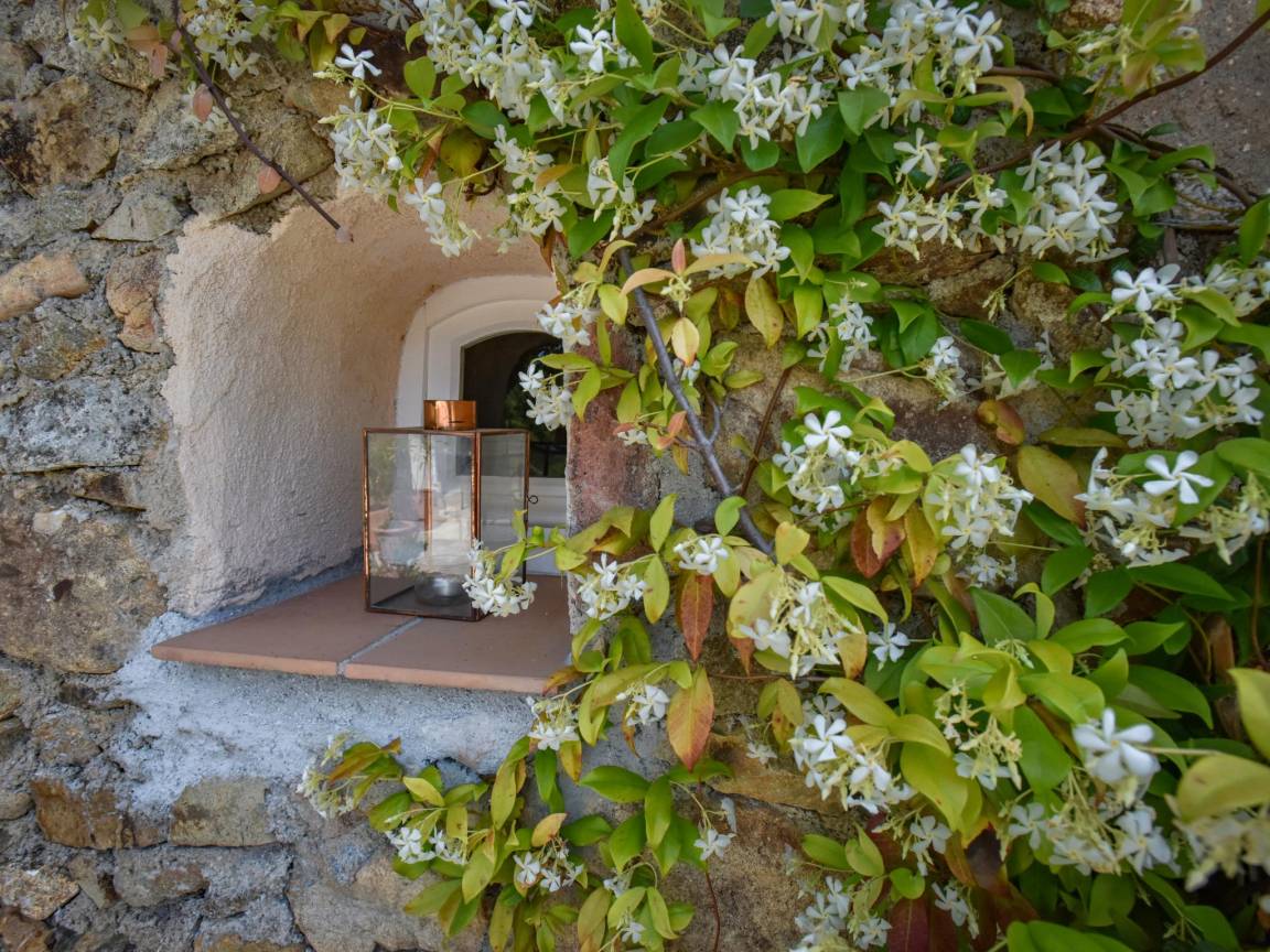 foto26