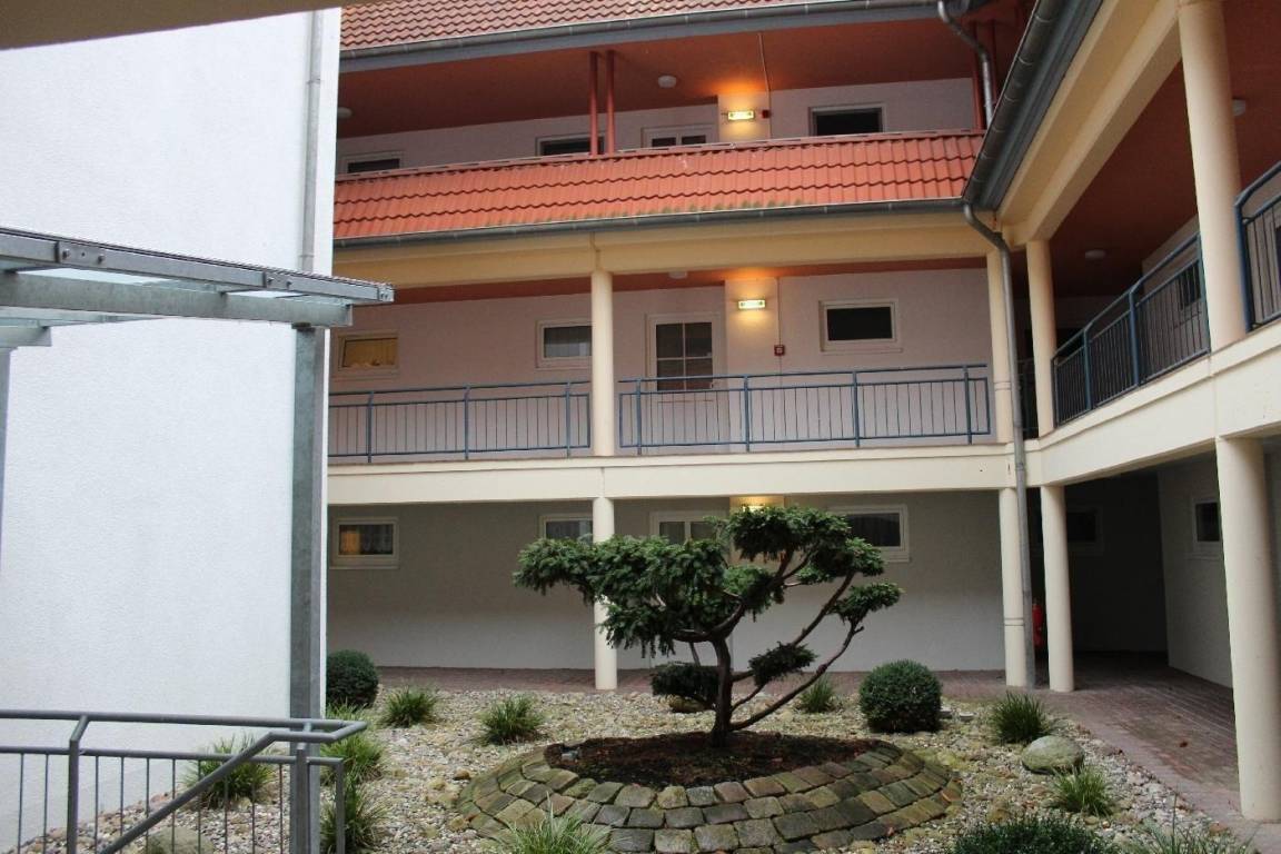 foto11