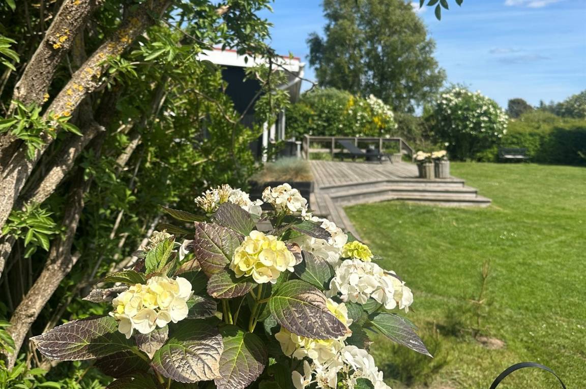 foto20