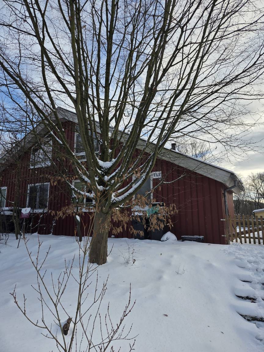 65 m&sup2; Ferienhaus 3 Schlafzimmer 5 G&auml;ste