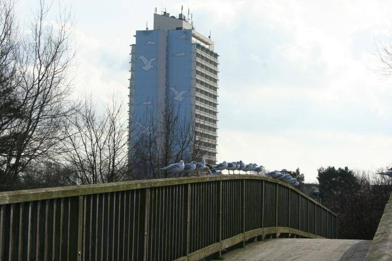 40 m&sup2; Ferienwohnung 1 Schlafzimmer 3 G&auml;ste