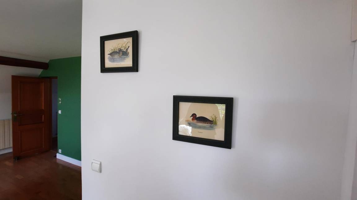foto40