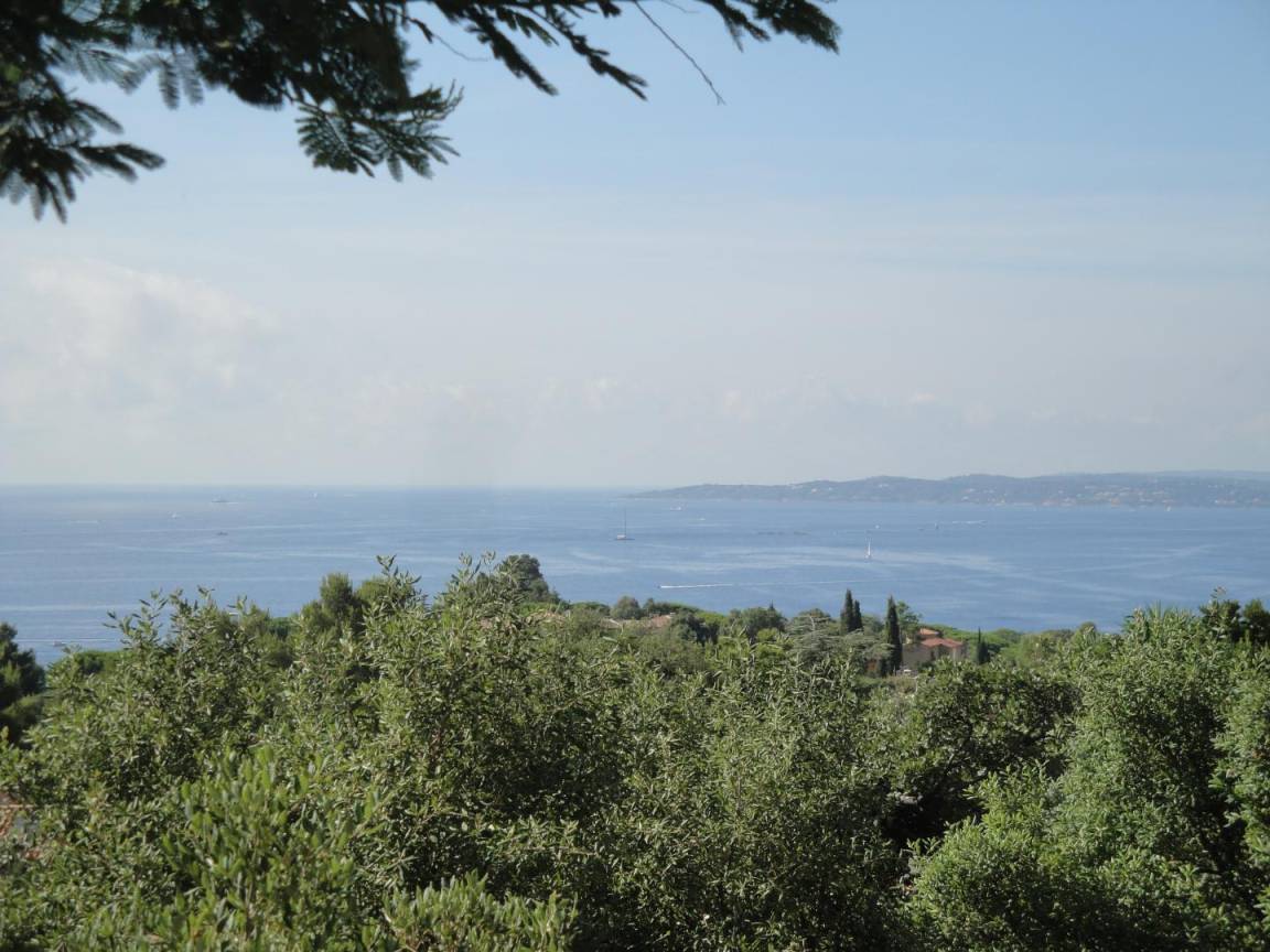 foto16