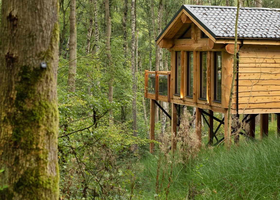 Chalet ∙ 3 Bedrooms ∙ 6 Guests - Shropshire
