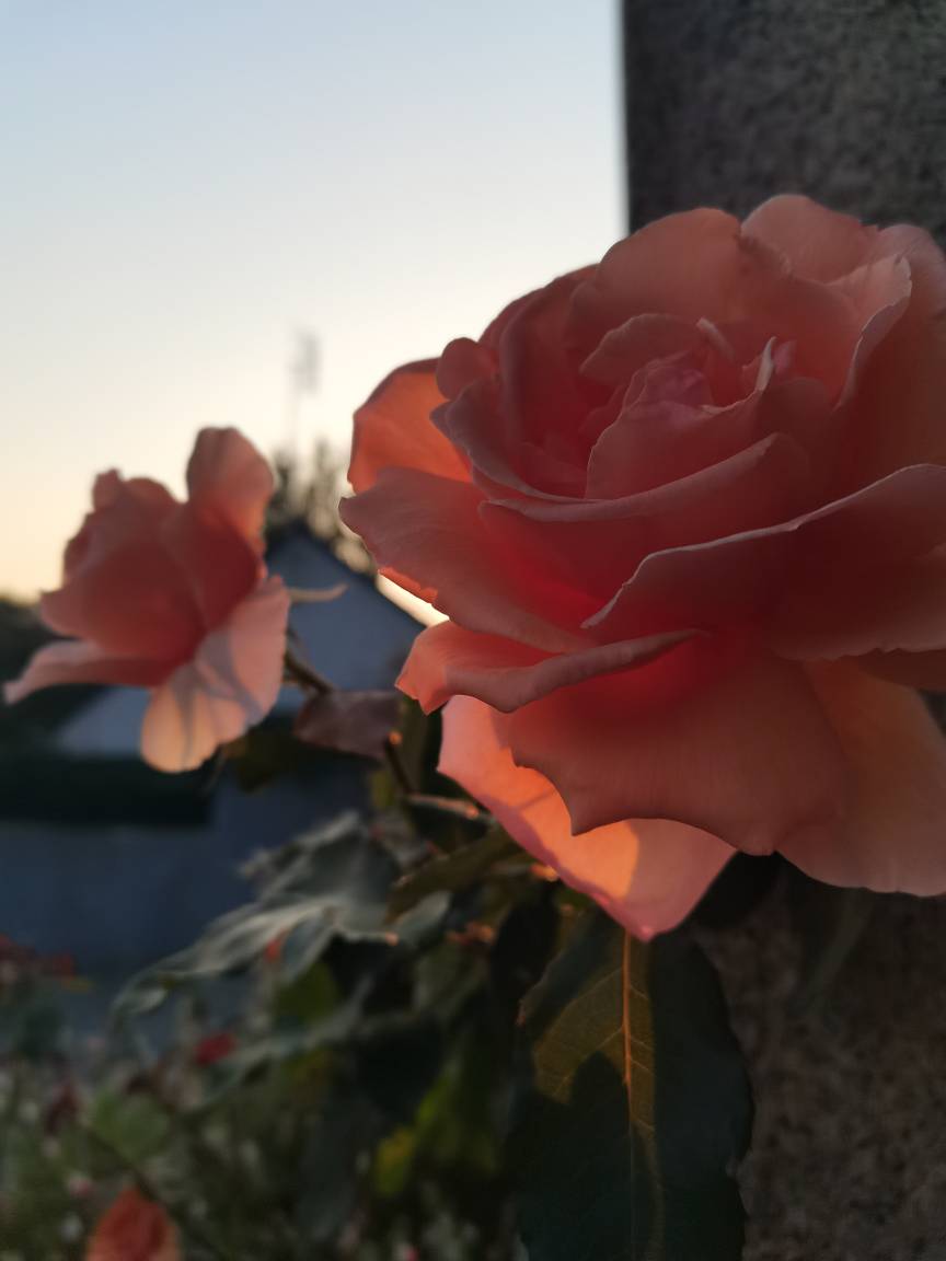foto28