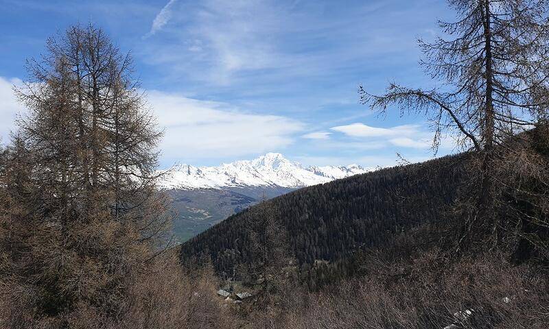 foto26