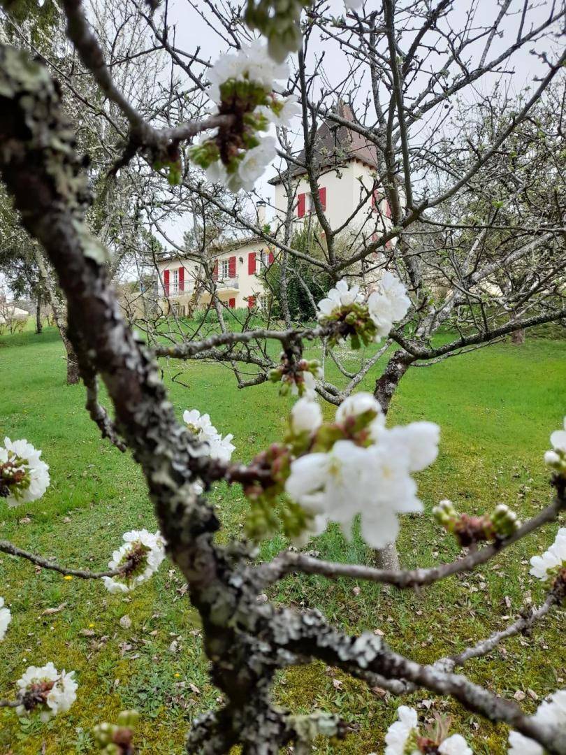 foto20
