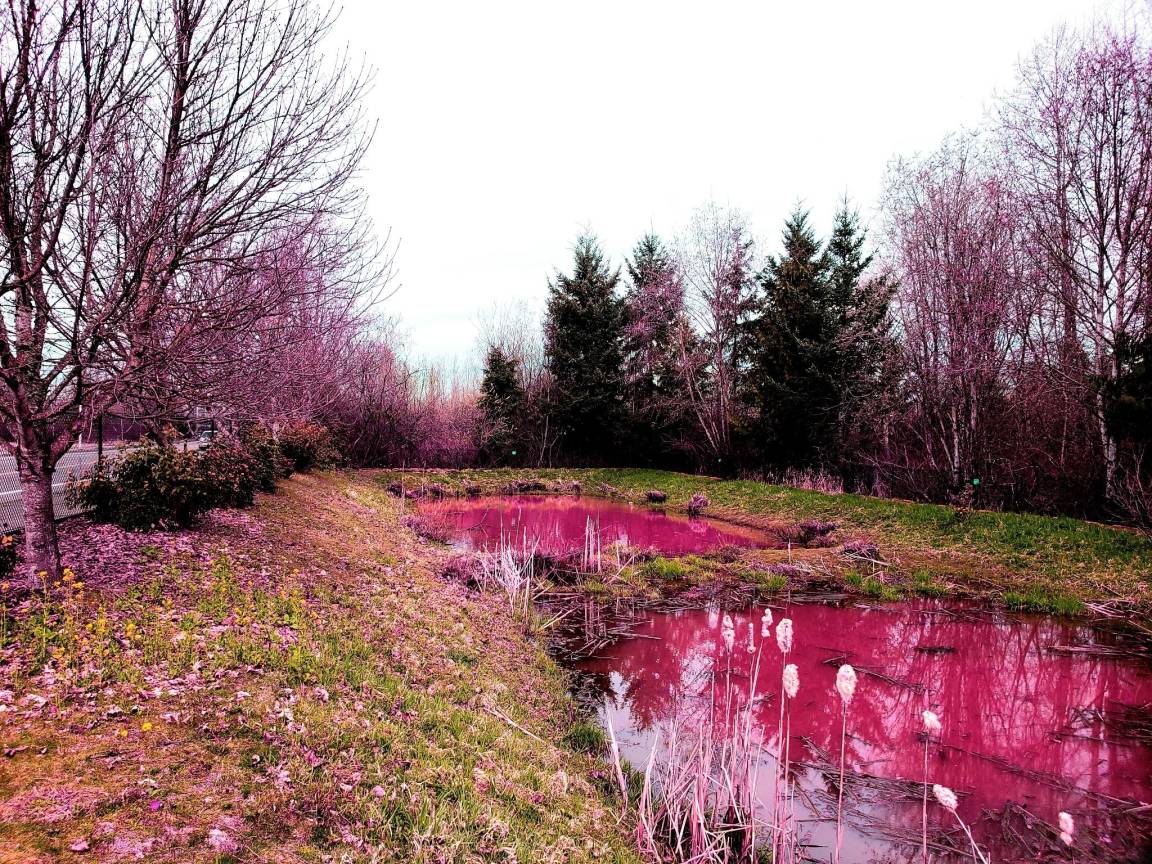 foto8