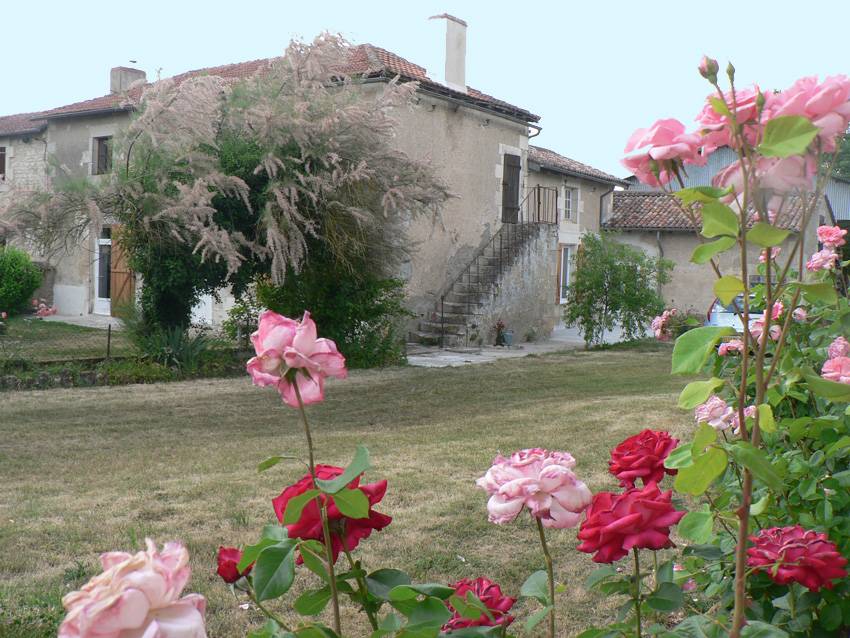 foto12