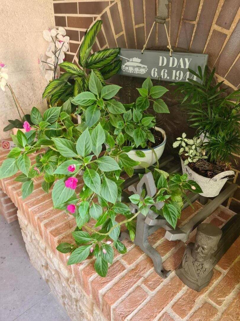 foto38