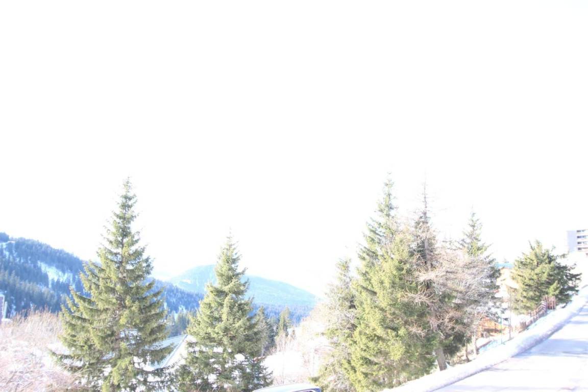 foto12