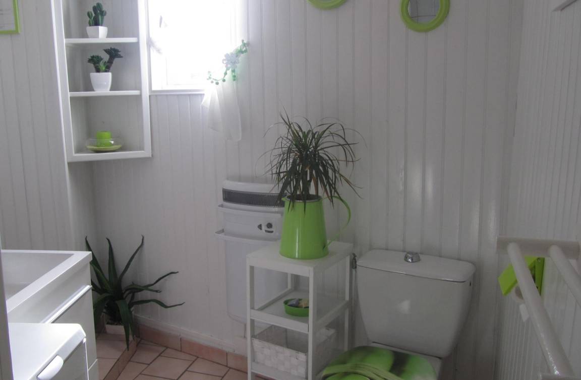 foto12