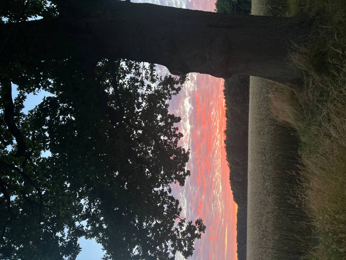 foto7