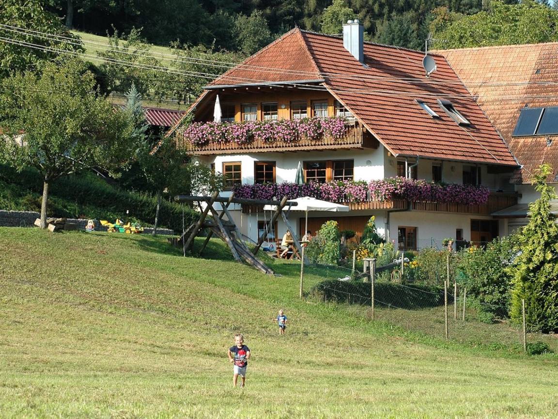 foto10