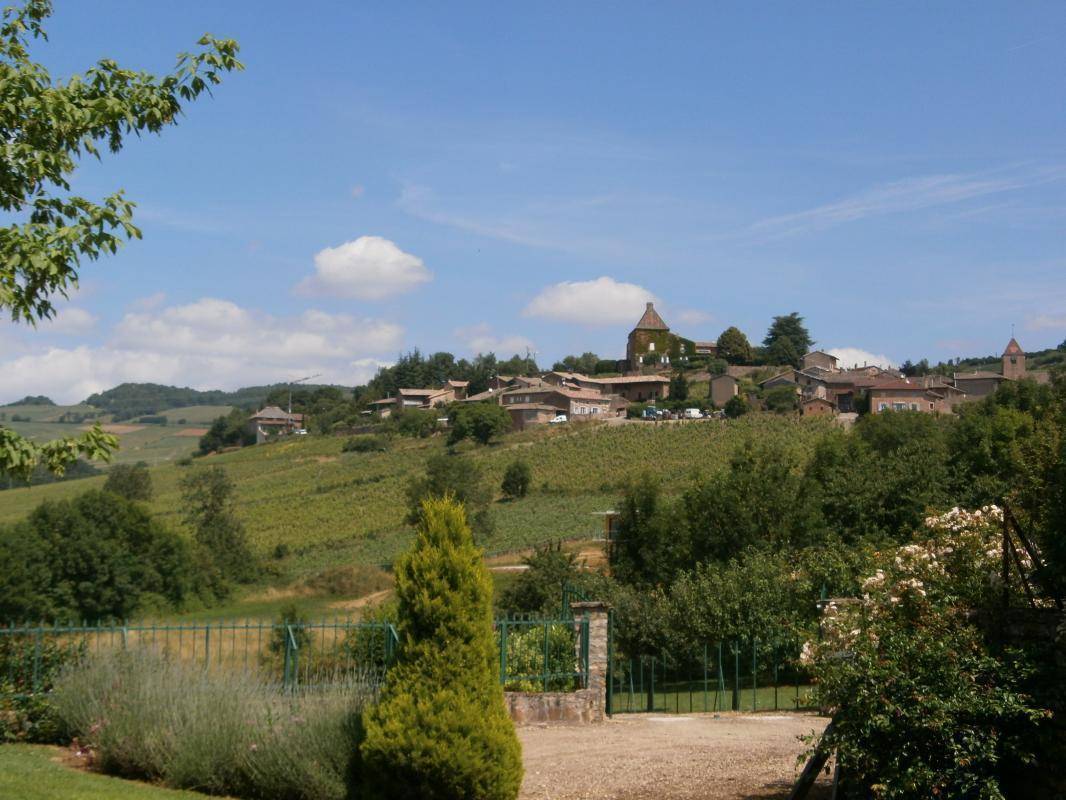 foto1