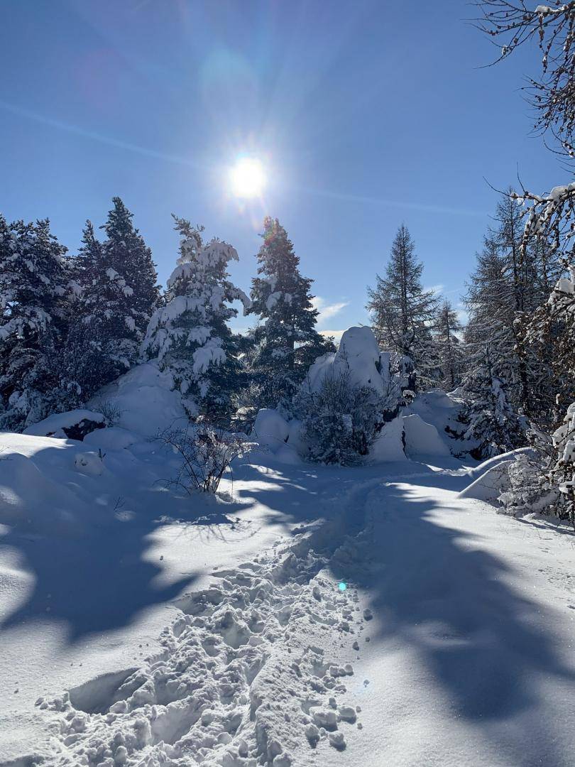 foto42
