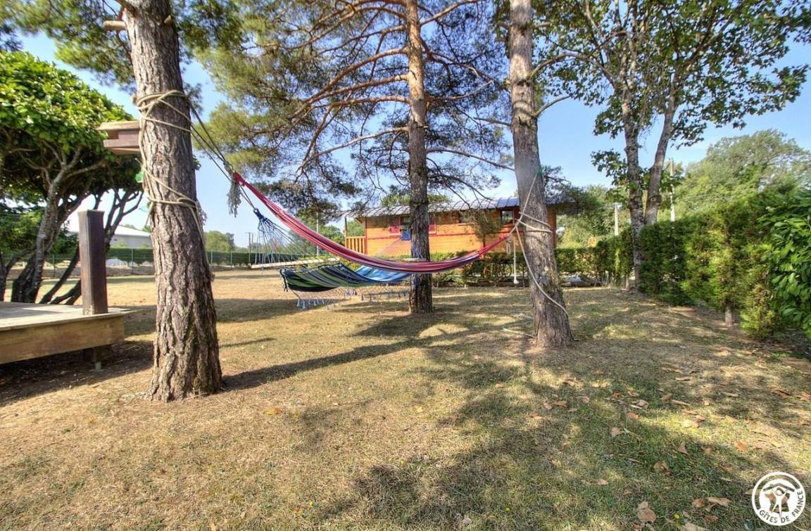 foto17