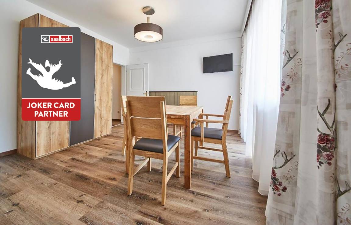 49 M² Apartment ∙ 2 Bedrooms ∙ 4 Guests - Saalbach-Hinterglemm