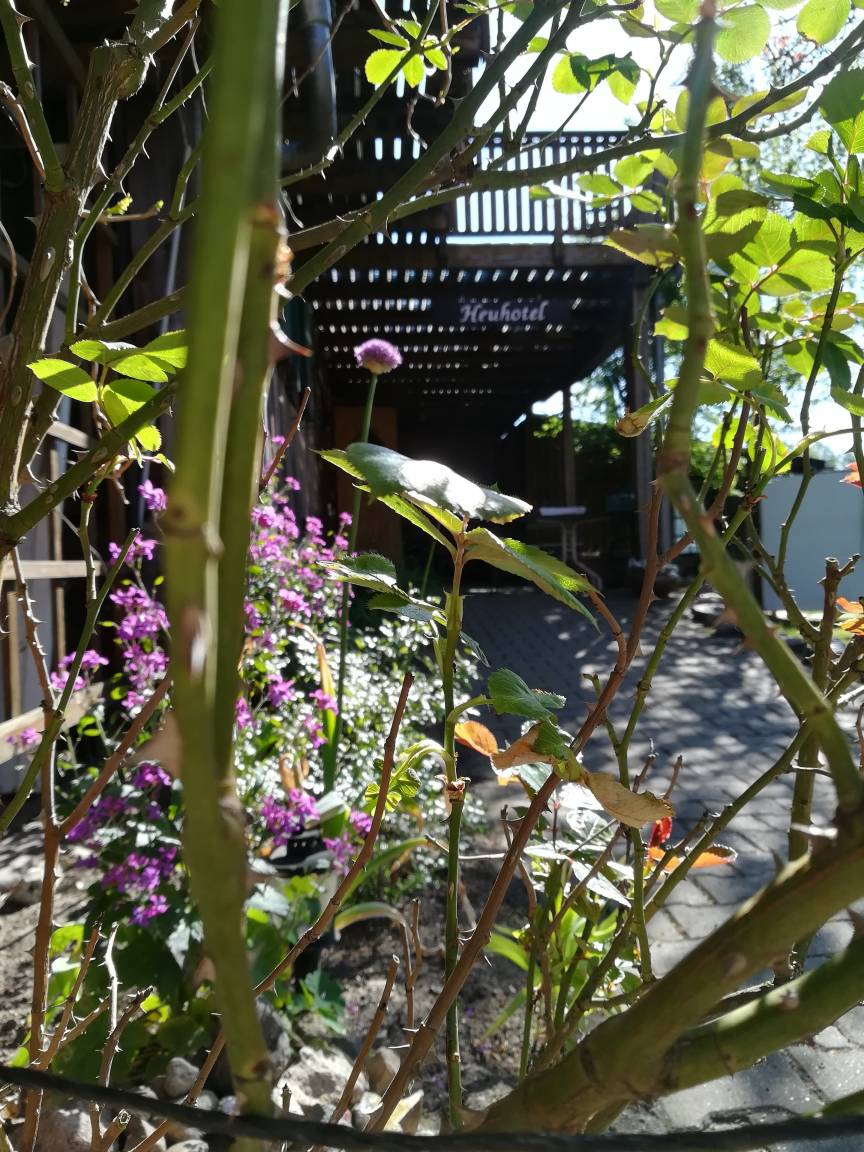 foto3
