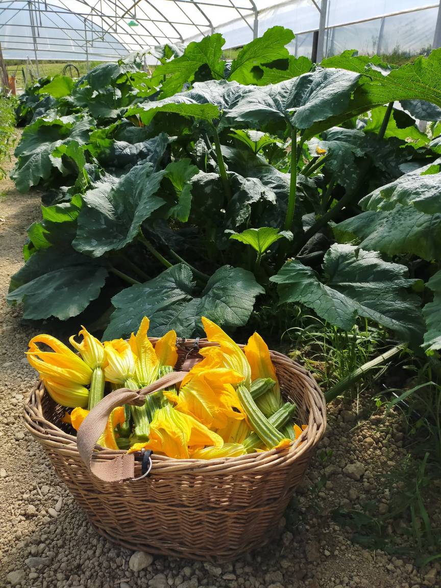 80 M² Bauernhof ∙ 1 Schlafzimmer ∙ 4 Gäste - Siena