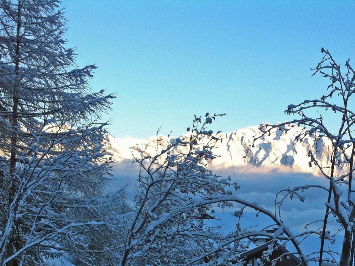 foto22