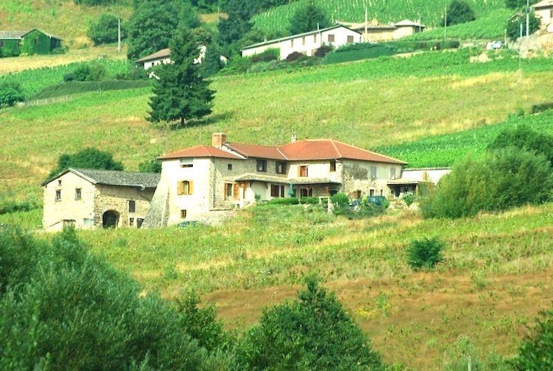 foto2