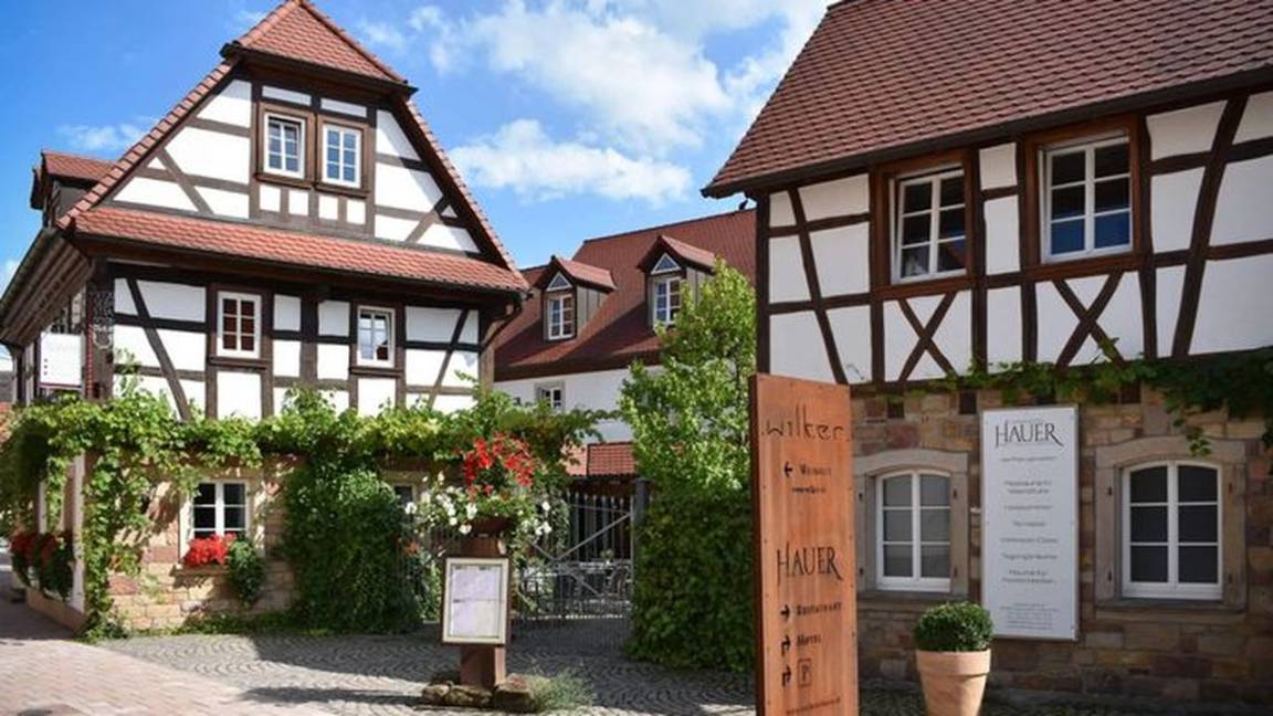 25 M² Hôtel ∙ 1 Chambre ∙ 1 Personne - Bad Bergzabern