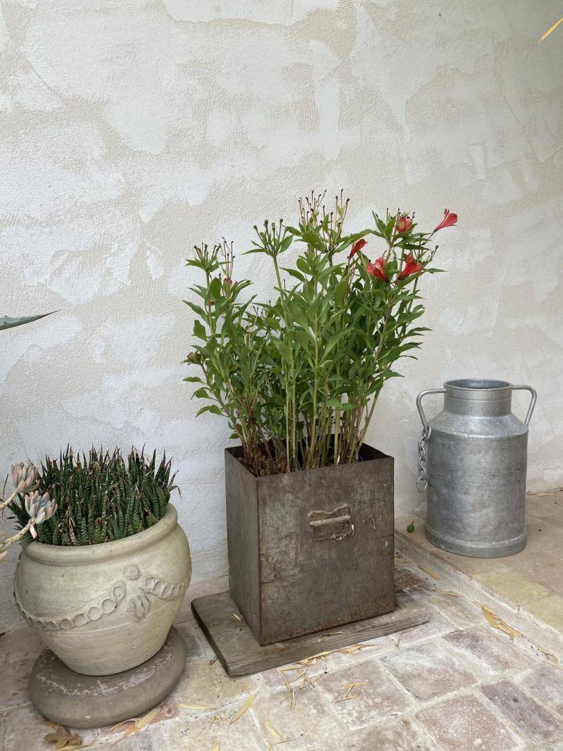 foto40
