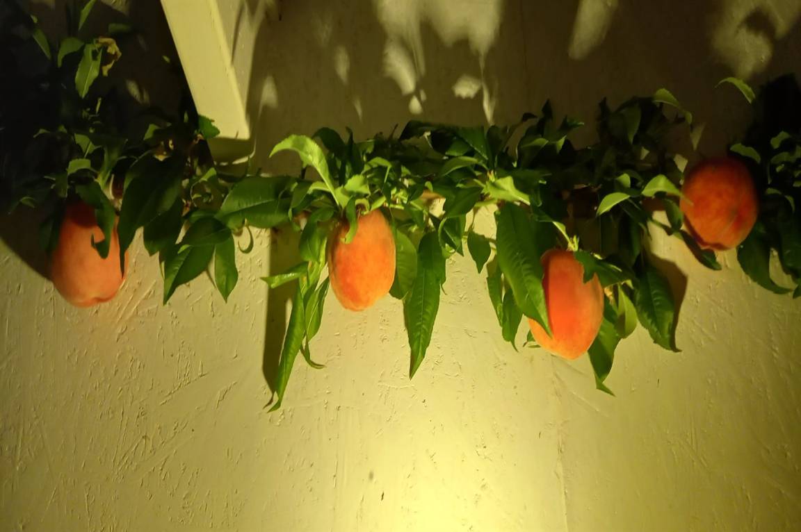 foto21
