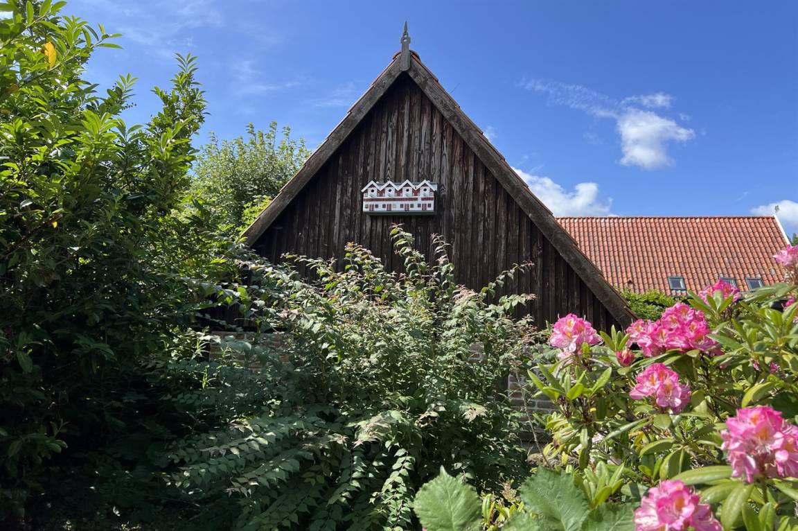 foto25