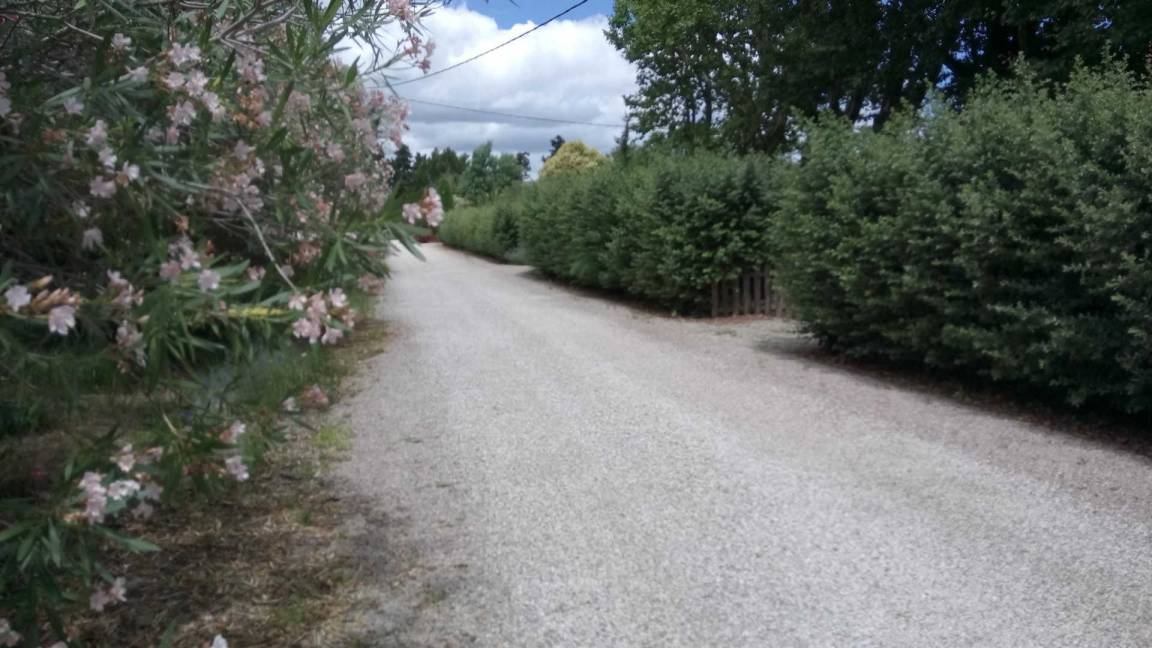 foto25